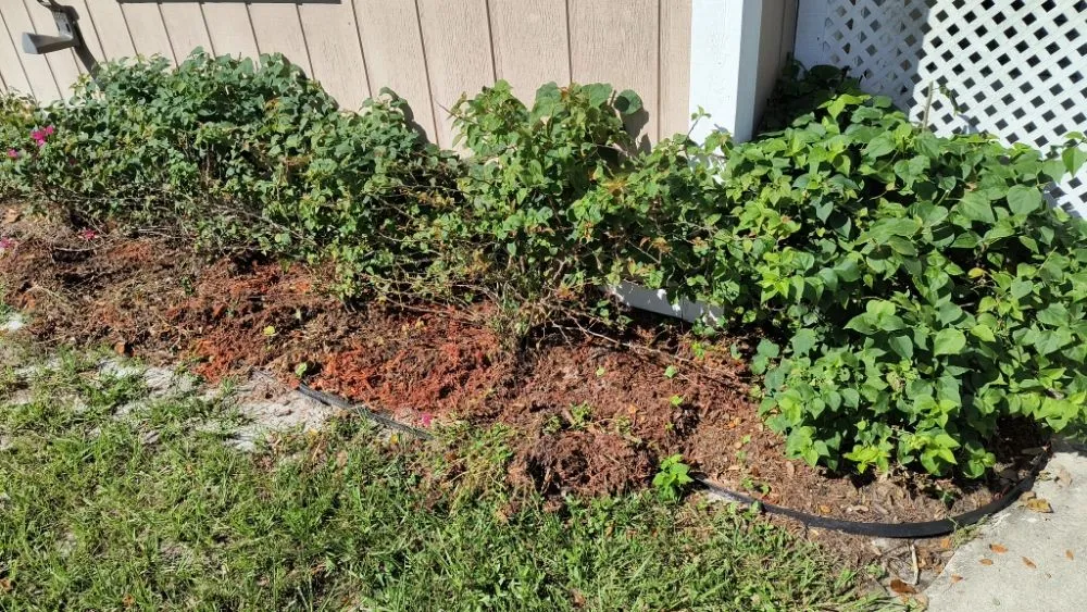 Custom garden landscaping with custom design in Titusville, FL by 4A Perfect Landscape