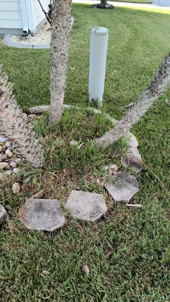 Professional yard cleanup service in Titusville, FL by 4A Perfect Landscape