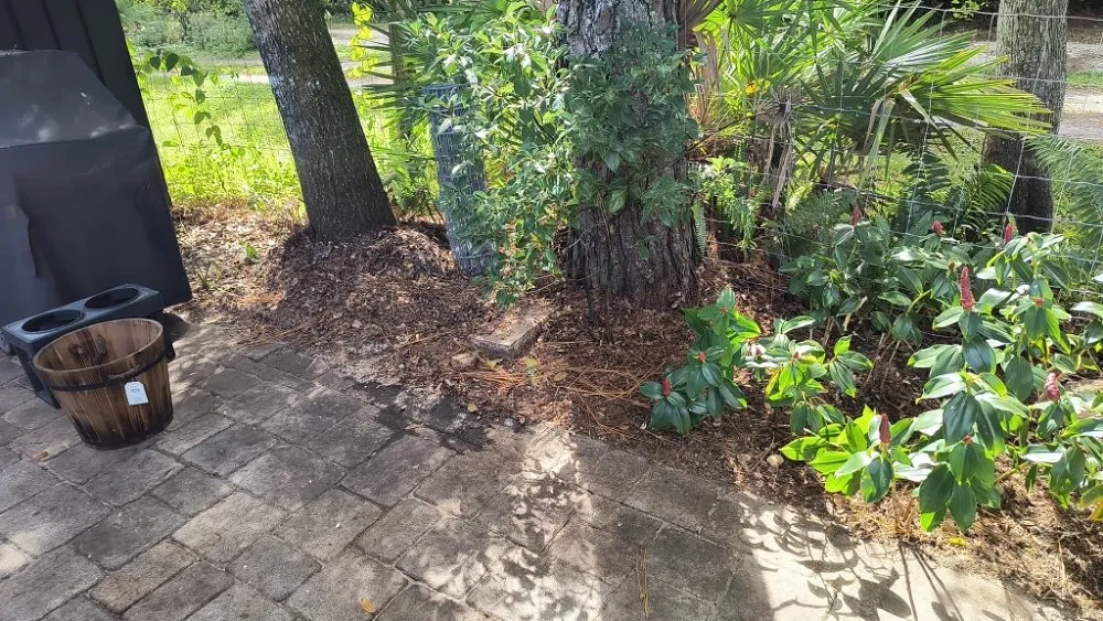 Top-rated yard maintenance experts serving Titusville, FL - 4A Perfect Landscape