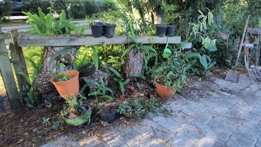 Local yard cleanup service for outdoor upgrades in Titusville, FL by 4A Perfect Landscape