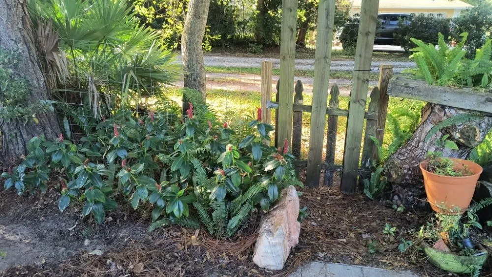 Reliable landscape design in Titusville, FL by 4A Perfect Landscape