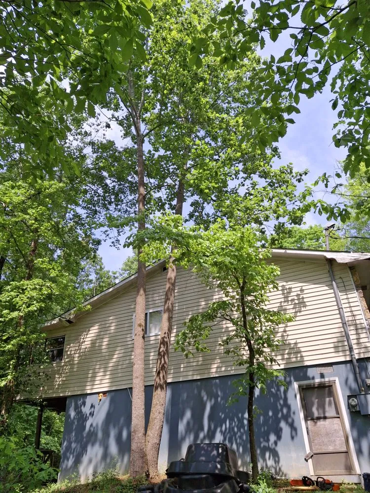 Custom yard maintenance near you across Seymour, TN - 4Aces Outdoor Services