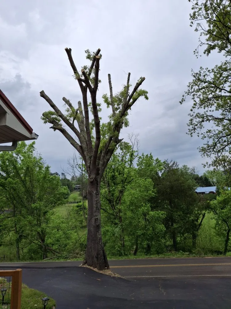 Custom lawn mowing service for homes in Seymour, TN by 4Aces Outdoor Services