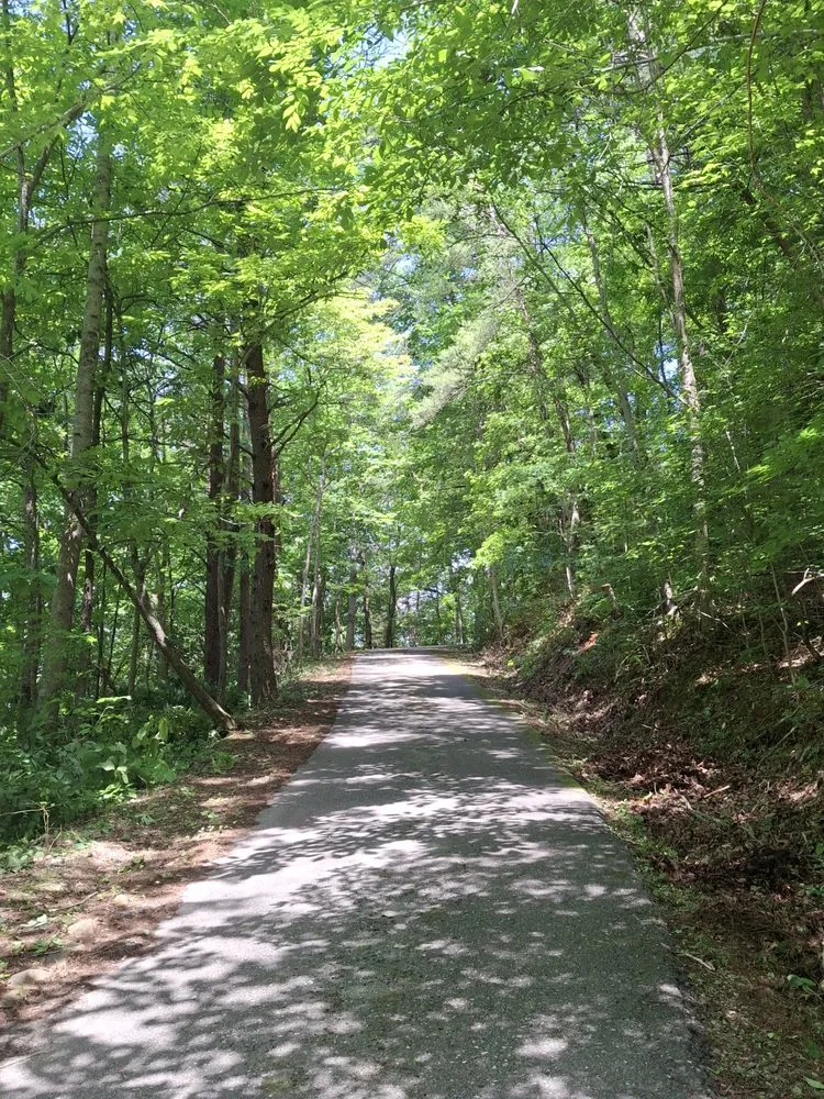 Professional residential landscaping in Seymour, TN by 4Aces Outdoor Services