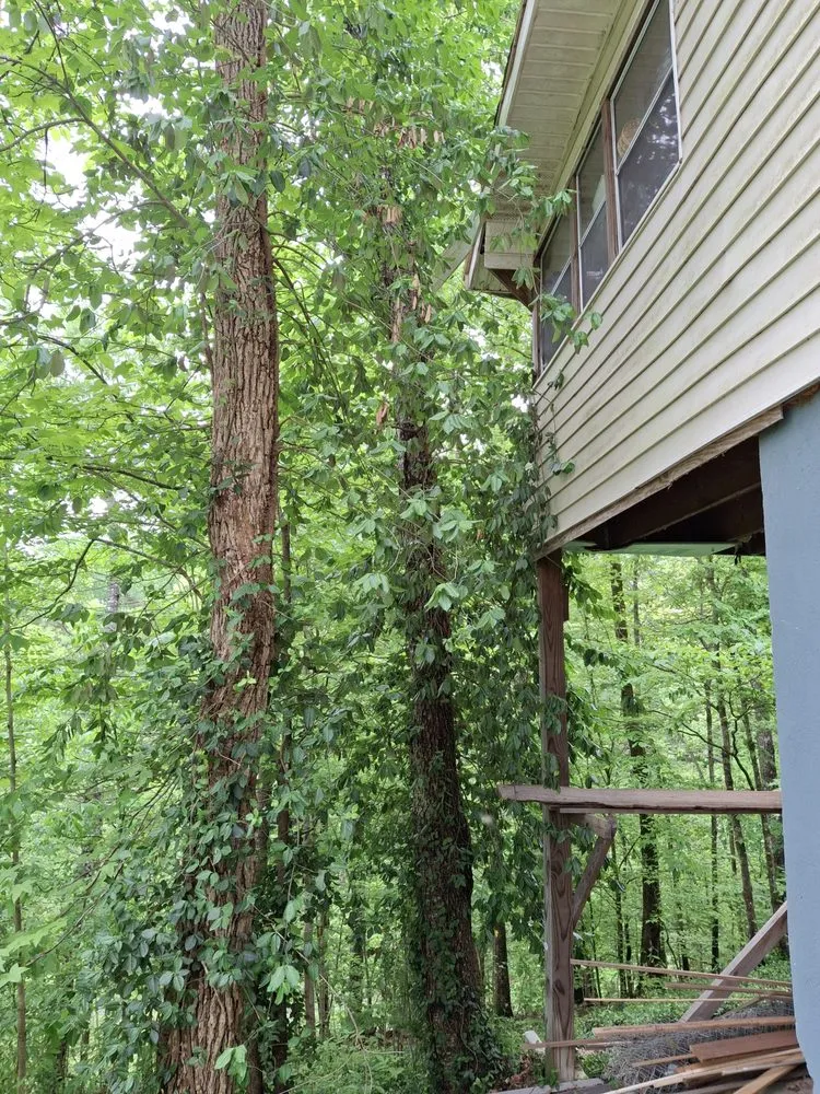 Affordable yard maintenance for homes in Seymour, TN by 4Aces Outdoor Services