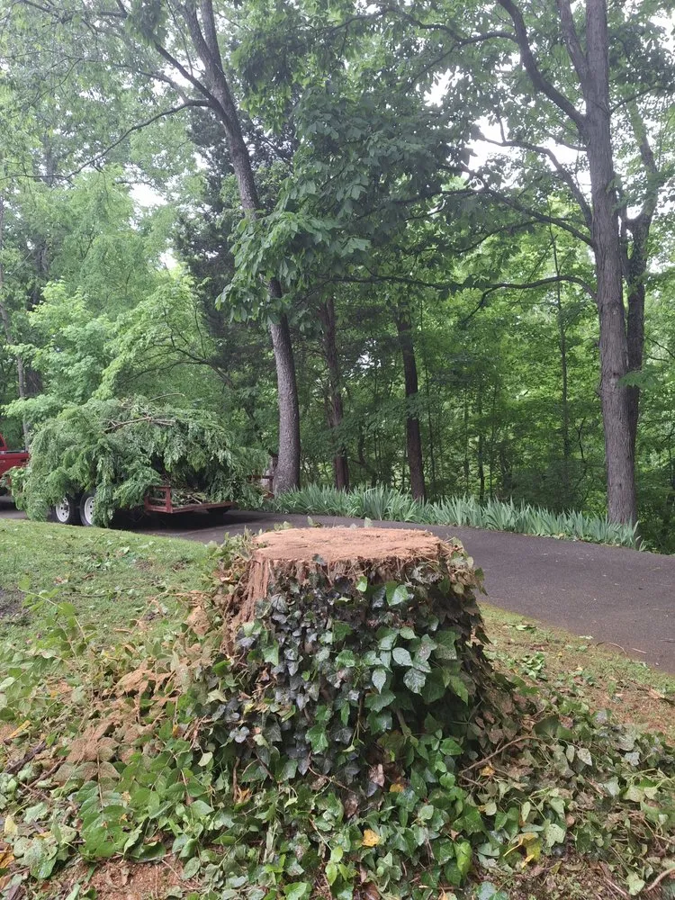 Trusted outdoor landscaping in Seymour, TN by 4Aces Outdoor Services