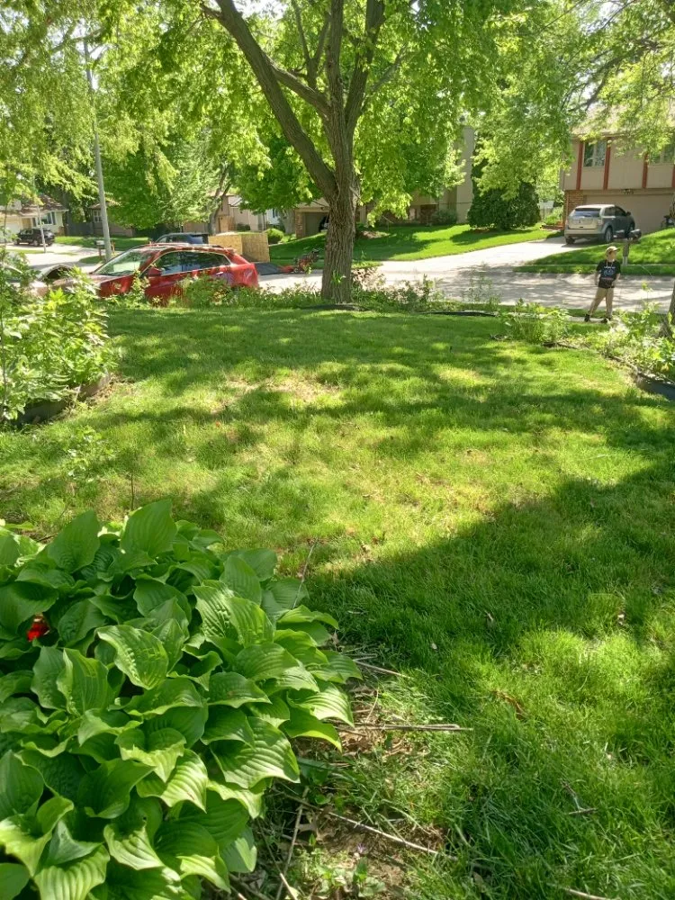 Affordable garden landscaping experts serving South Sioux City, NE - 4Bros Lawncare