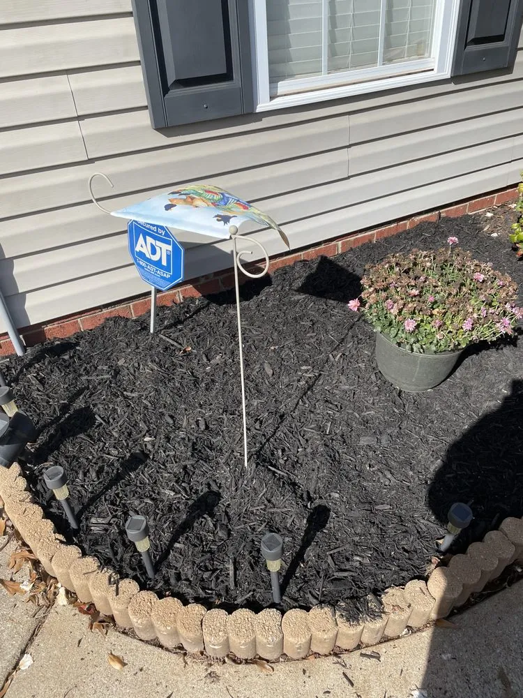 Affordable lawn mowing service for residential properties in Iowa Park, TX by 4Bs Concrete & Excavation