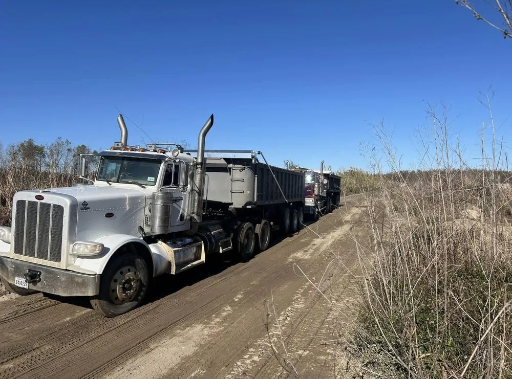 Professional landscape installation for homes across Albany, LA - 4D Excavation
