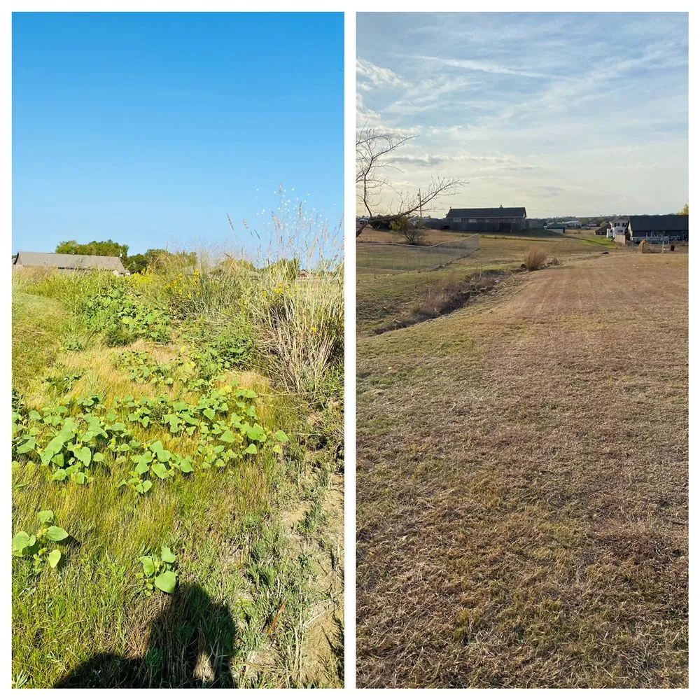 Professional landscape installation experts serving Joshua, TX - 4D TX Lawn Care