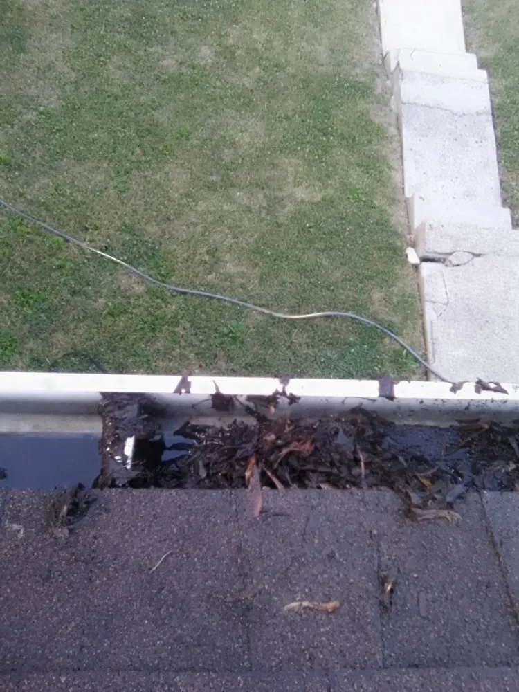 Top-rated yard cleanup service experts serving Cincinnati, OH - 4DC Home & Land Improvements