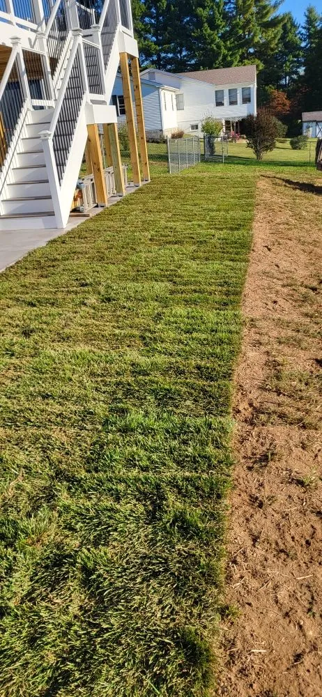 Expert residential landscaping experts serving Charles Town, WV - 4D's Trailer Rentals