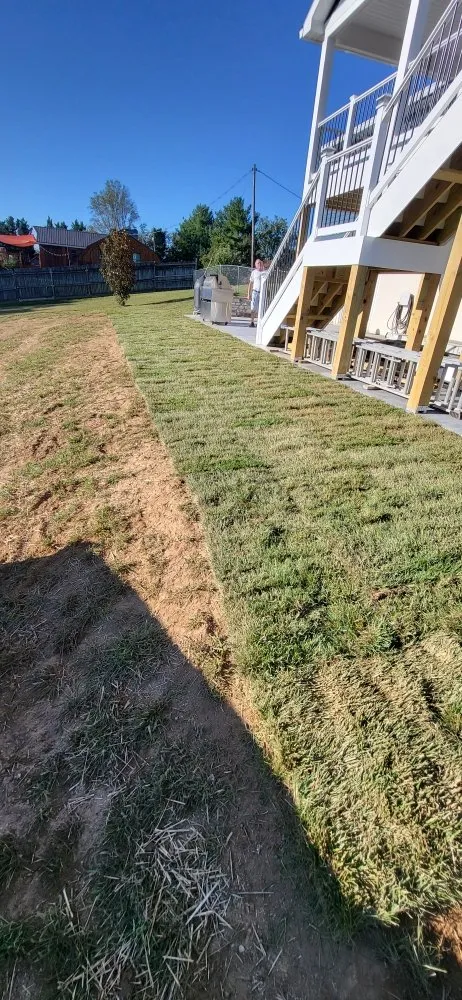 Top-rated lawn mowing service for year-round maintenance across Charles Town, WV - 4D's Trailer Rentals