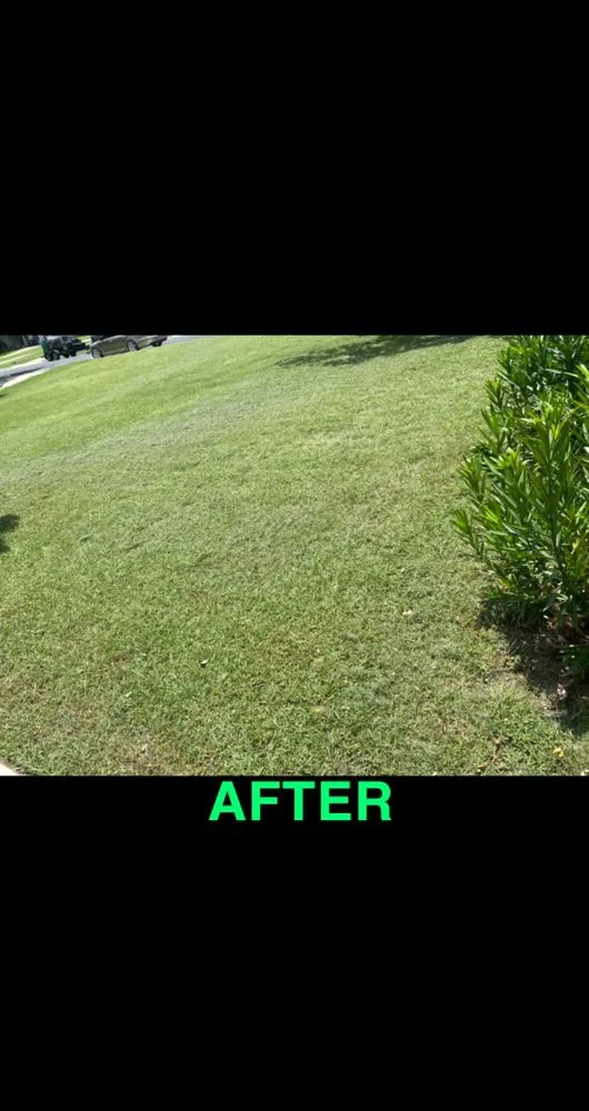 Trusted lawn mowing service experts serving Lampasas, TX - 4E Lawn Care & Power Washing