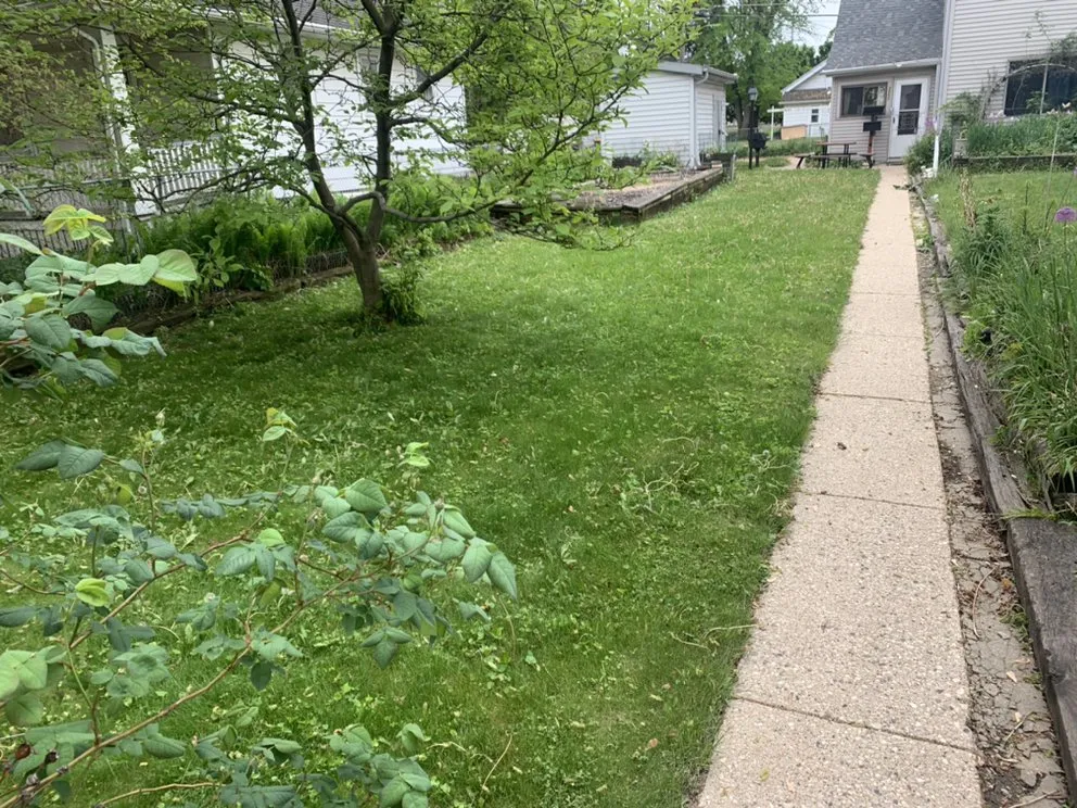 Trusted yard cleanup service in Milwaukee, WI - 4Ever Green Lawn Care & Services