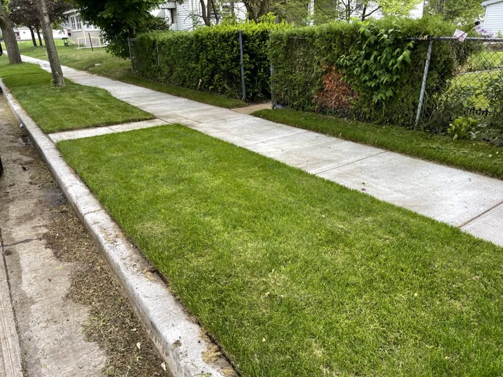 Affordable lawn care service for outdoor upgrades in Milwaukee, WI by 4Ever Green Lawn Care & Services