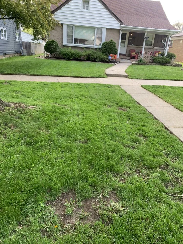 Professional yard cleanup service for residential properties in Milwaukee, WI by 4Ever Green Lawn Care & Services