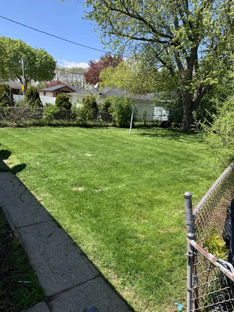 Professional yard cleanup service for year-round maintenance across Milwaukee, WI - 4Ever Green Lawn Care & Services