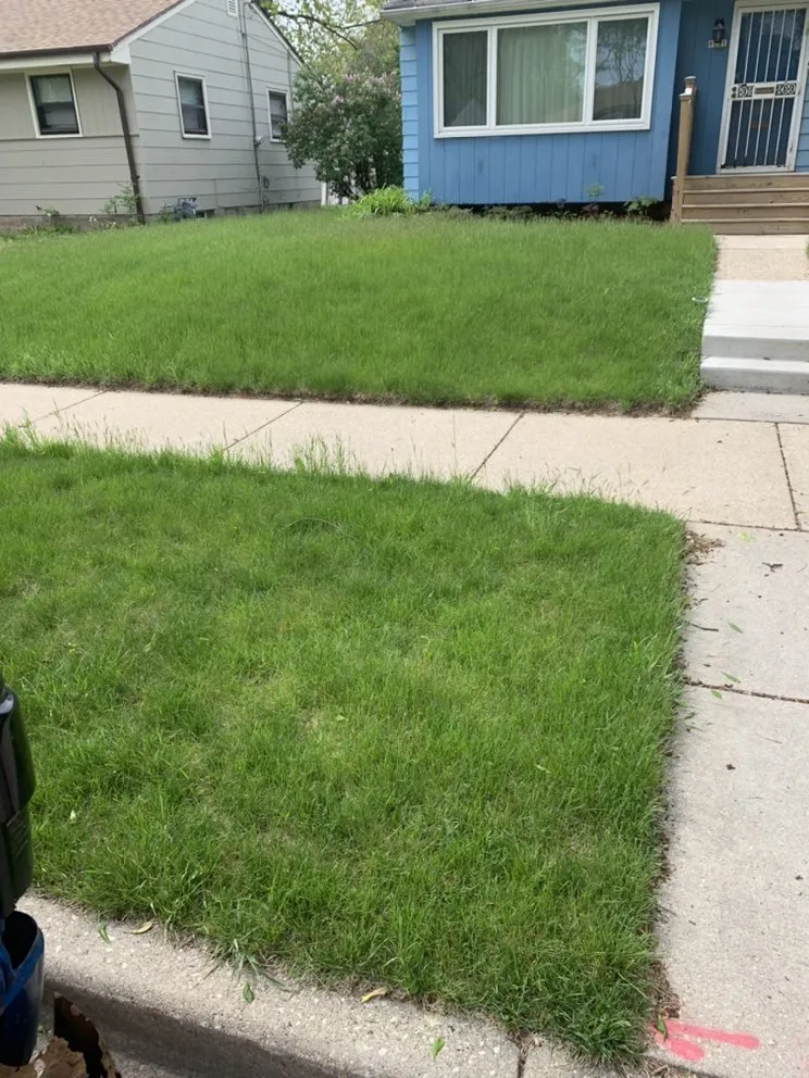 Expert yard maintenance with custom design across Milwaukee, WI - 4Ever Green Lawn Care & Services