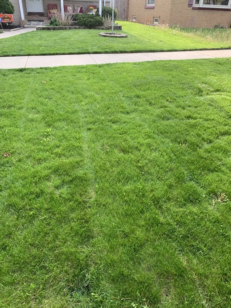 Professional landscape installation experts serving Milwaukee, WI - 4Ever Green Lawn Care & Services