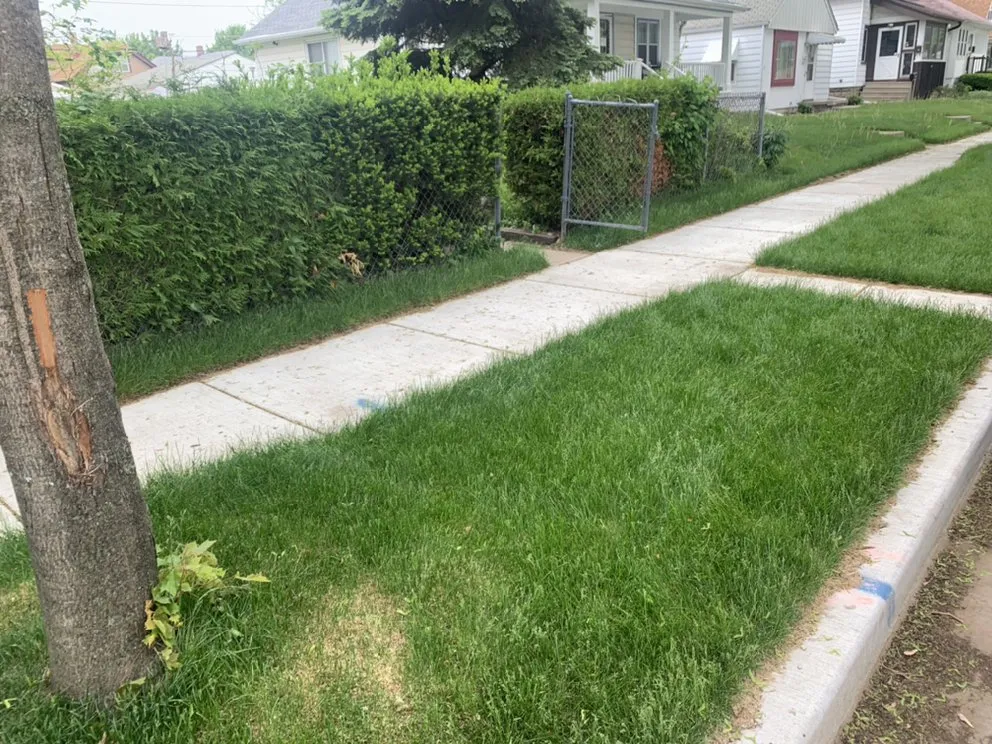 Top-rated lawn mowing service with custom design in Milwaukee, WI by 4Ever Green Lawn Care & Services