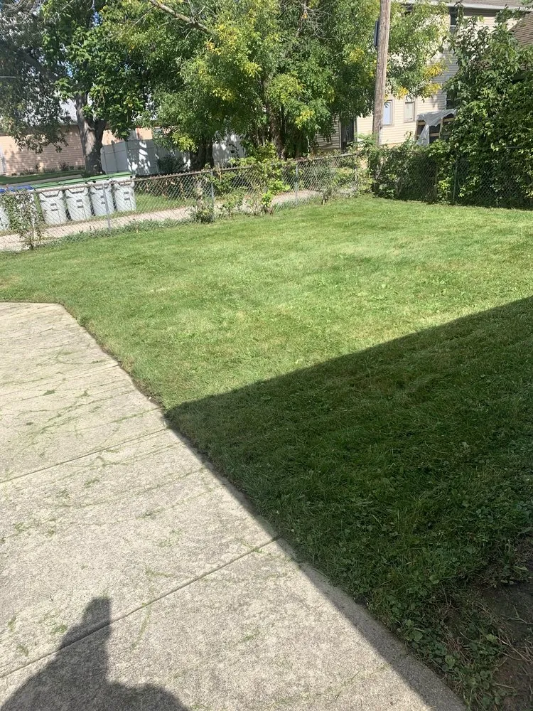 Trusted outdoor landscaping for year-round maintenance across Milwaukee, WI - 4Ever Green Lawn Care & Services