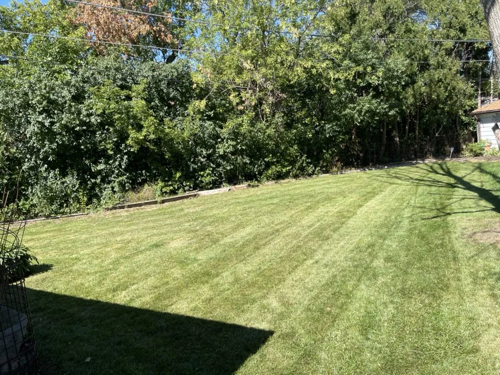 Affordable garden landscaping for outdoor upgrades in Milwaukee, WI by 4Ever Green Lawn Care & Services
