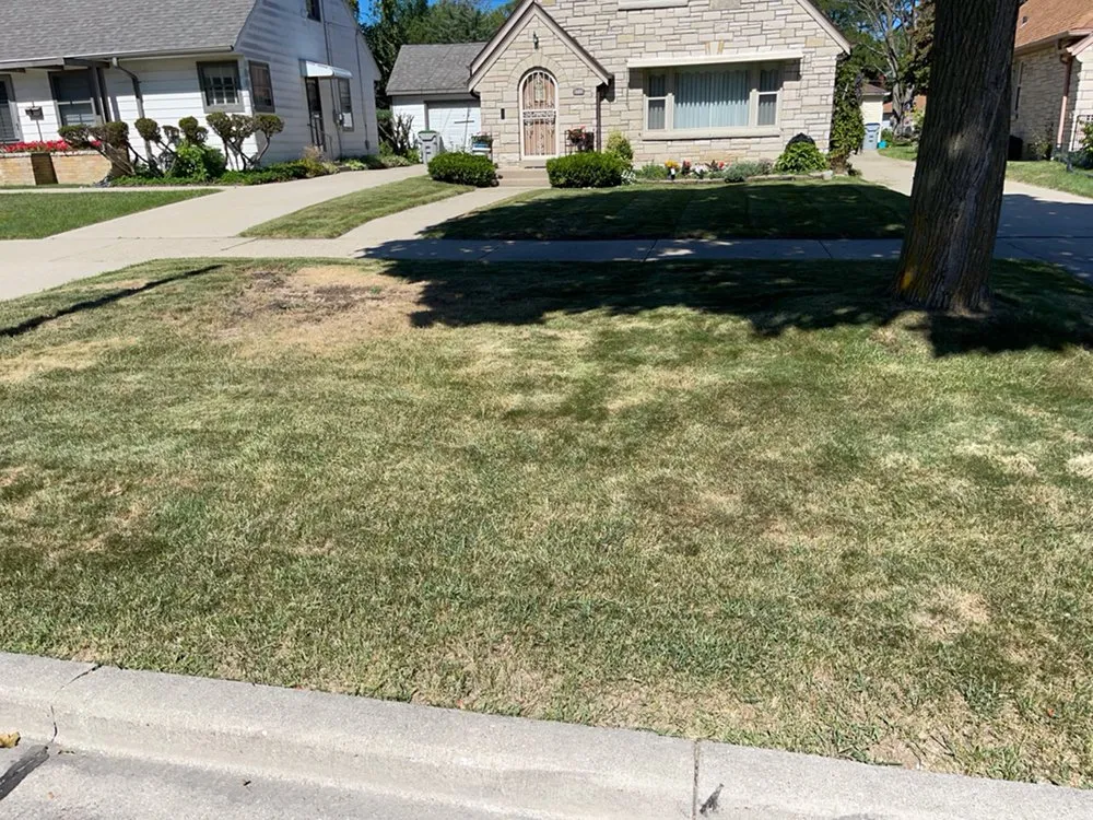 Local yard cleanup service experts serving Milwaukee, WI - 4Ever Green Lawn Care & Services