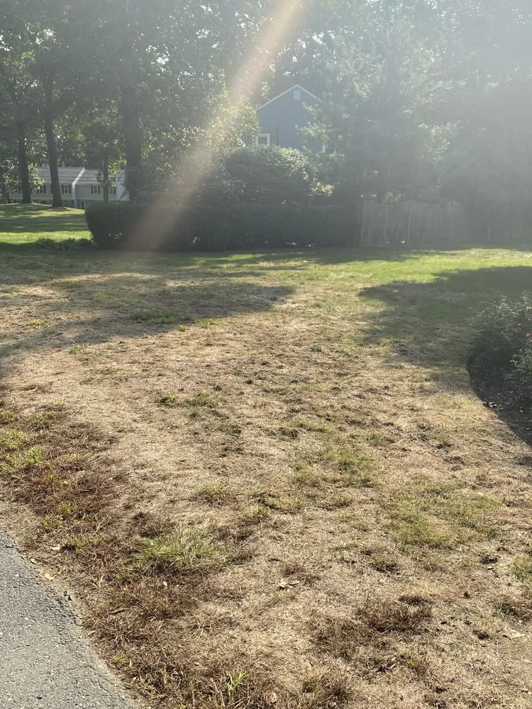 Local lawn care service for homes in West Warwick, RI by 4everGreen Turf Management