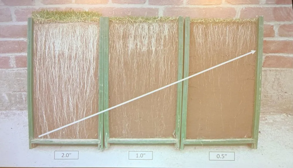 Trusted lawn mowing service experts serving West Warwick, RI - 4everGreen Turf Management