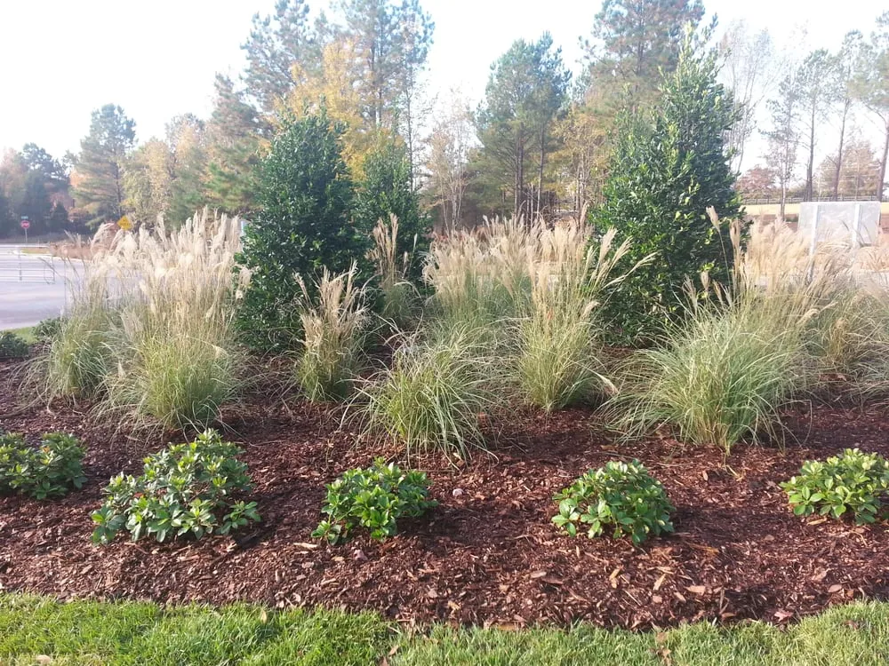 Top-rated yard maintenance in Madison, AL by 4G Landscapes