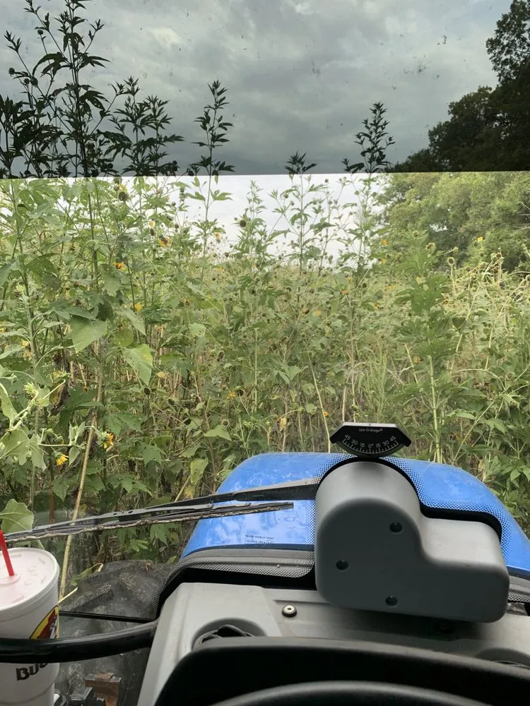 Custom landscape installation for beautiful yards across Royse City, TX - 4G Tractor Mowing