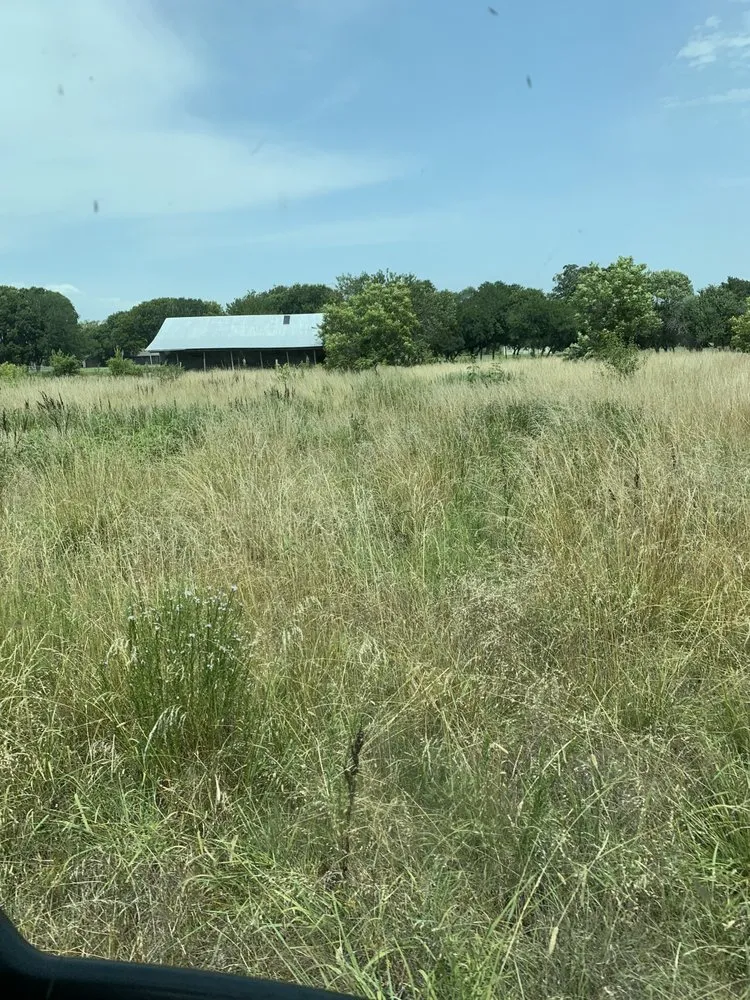 Top-rated yard maintenance experts serving Royse City, TX - 4G Tractor Mowing