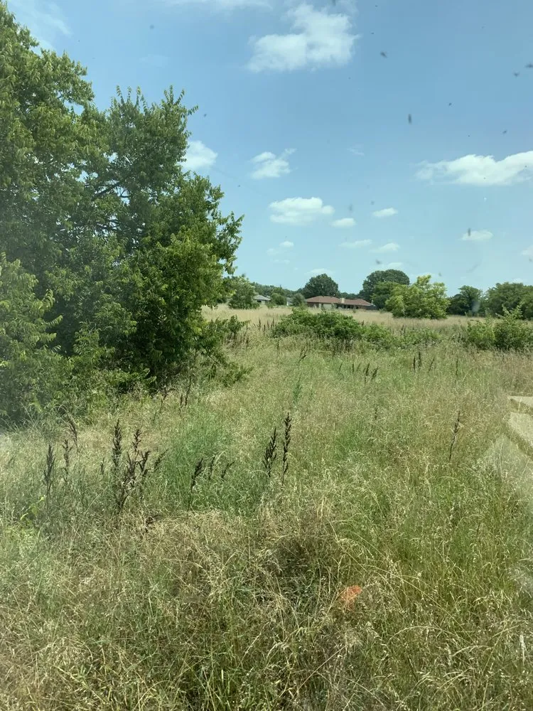 Local lawn care service for beautiful yards in Royse City, TX by 4G Tractor Mowing