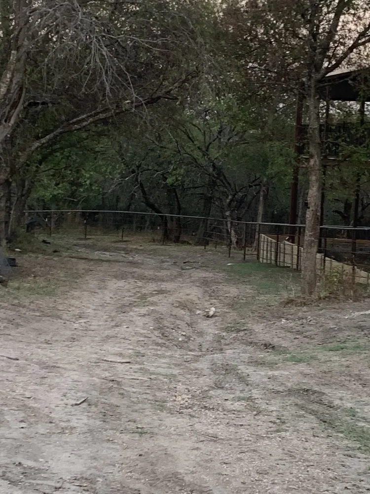 Reliable lawn mowing service in Royse City, TX by 4G Tractor Mowing