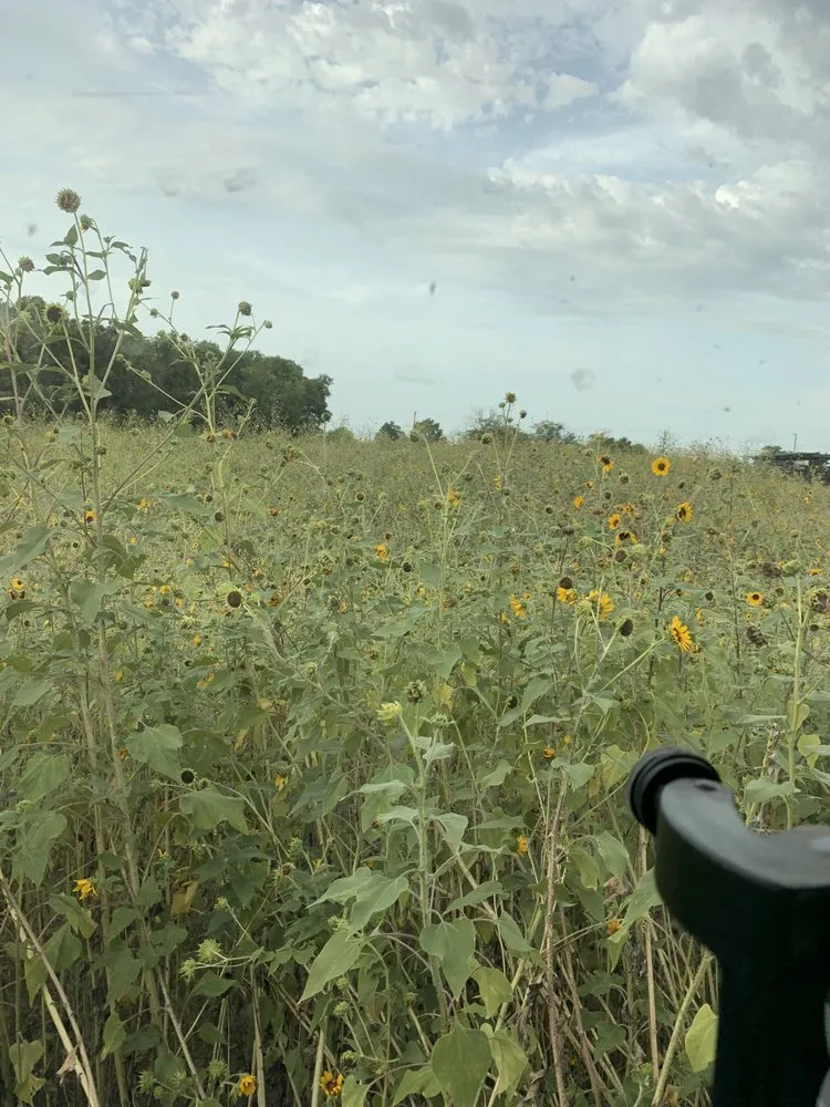 Professional outdoor landscaping for residential properties across Royse City, TX - 4G Tractor Mowing