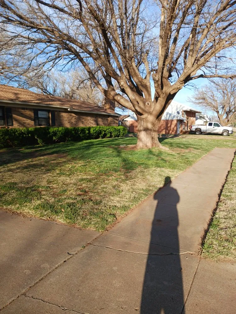 Reliable garden landscaping for outdoor upgrades in Tahoka, TX by 4J's lawn care service