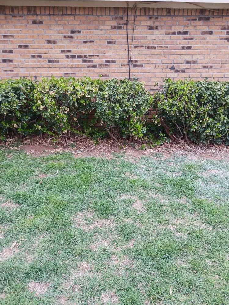 Affordable landscape design with custom design in Tahoka, TX by 4J's lawn care service