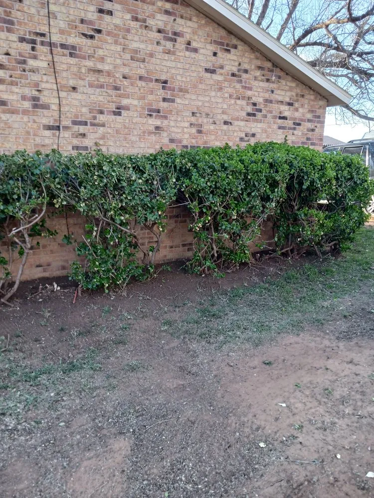 Professional residential landscaping for outdoor upgrades in Tahoka, TX by 4J's lawn care service