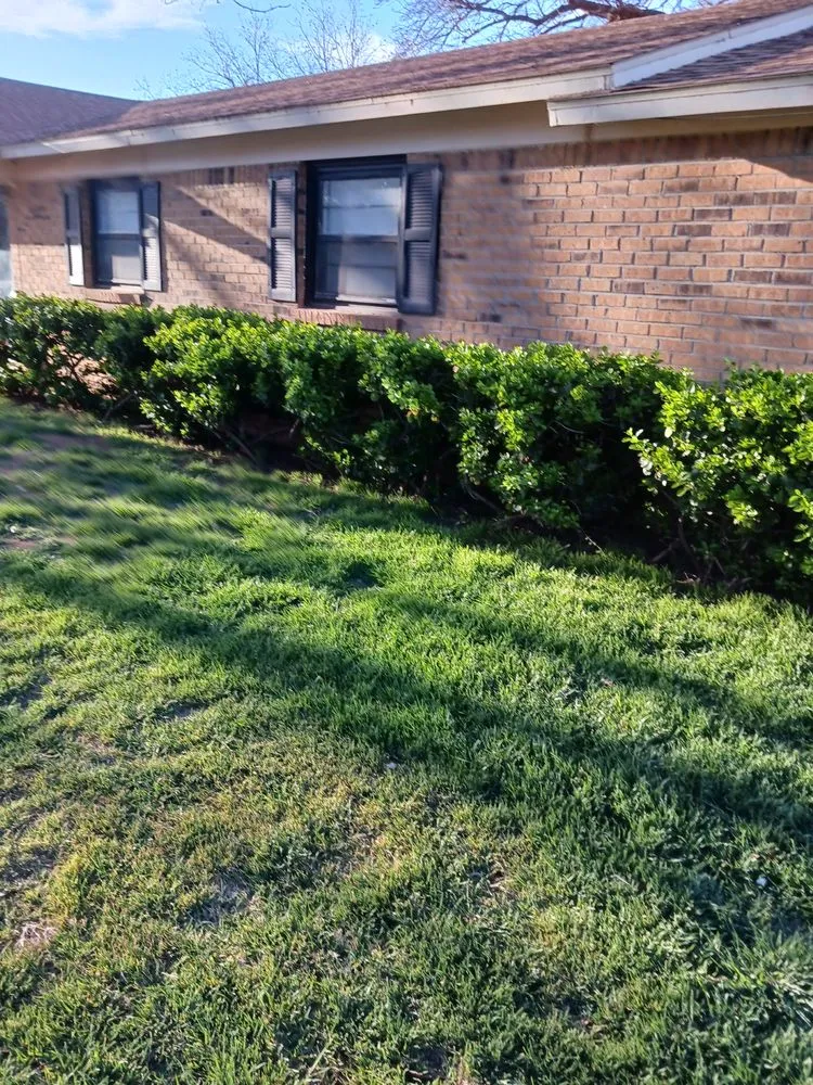 Reliable landscaping services for homes in Tahoka, TX by 4J's lawn care service