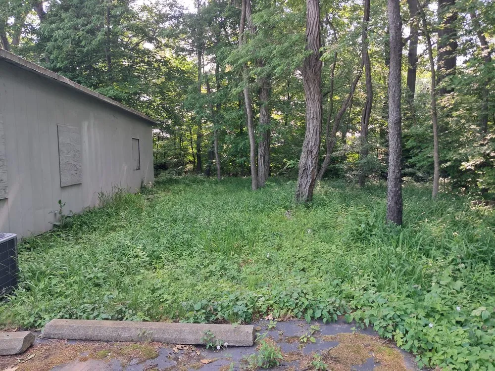 Affordable lawn care service near you in Sodus, MI by 4J's Property Maintenance