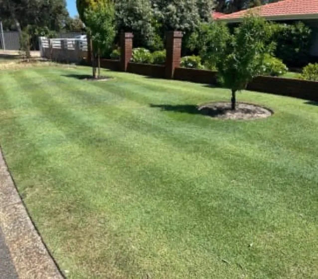 Top-rated residential landscaping near you in Pine Bluff, AR by 4K Home Service Pros