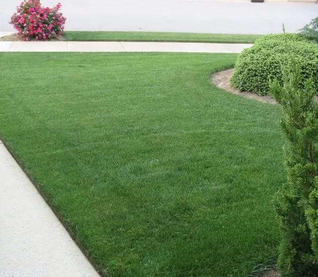 Reliable yard maintenance experts serving Pine Bluff, AR - 4K Home Service Pros