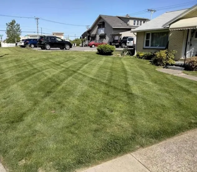 Custom lawn mowing service experts serving Pine Bluff, AR - 4K Home Service Pros