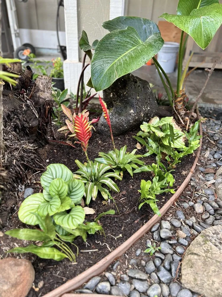 Top-rated residential landscaping experts serving Kaneohe, HI - 4K Landscaping & Concrete