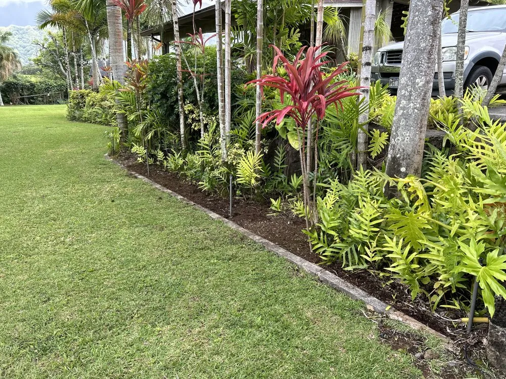 Expert landscaping services in Kaneohe, HI by 4K Landscaping & Concrete