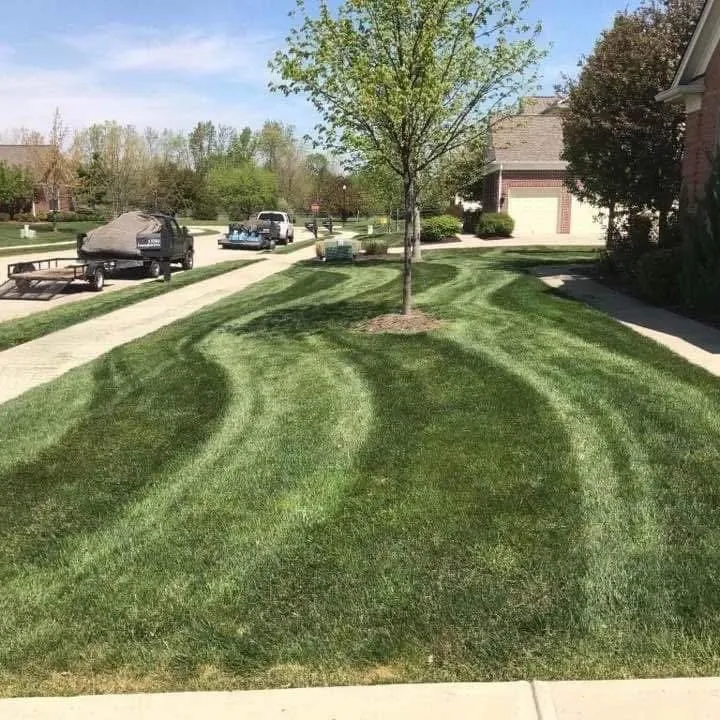 Top-rated yard cleanup service in Indianapolis, IN by 4K Mowing & Landscaping