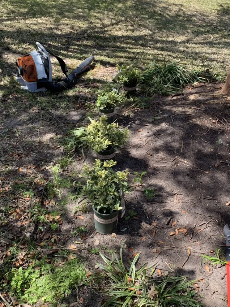 Trusted lawn mowing service with custom design in Arp, TX by 4k's Enterprises