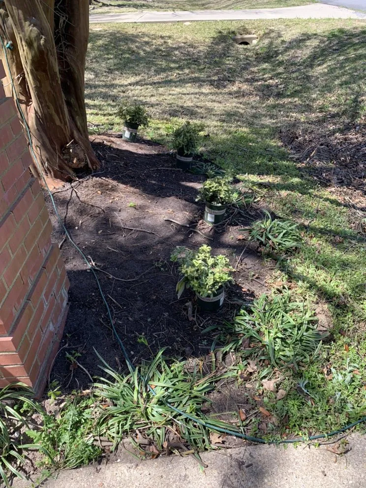 Trusted landscape installation for outdoor upgrades in Arp, TX by 4k's Enterprises