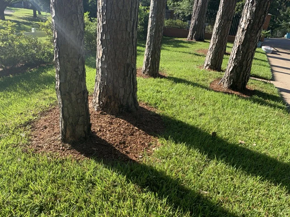 Expert landscape design with custom design in Arp, TX by 4k's Enterprises